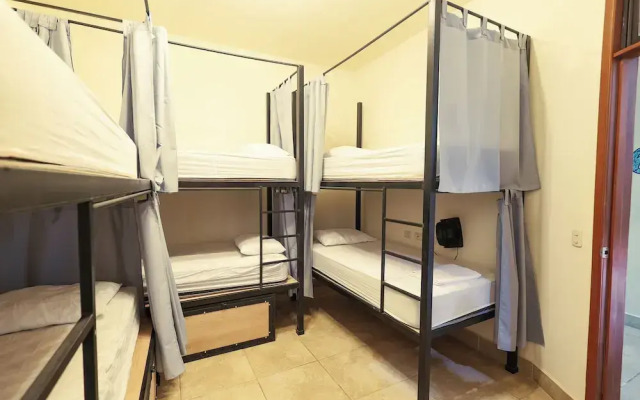 Sohla Rooftop Hostel