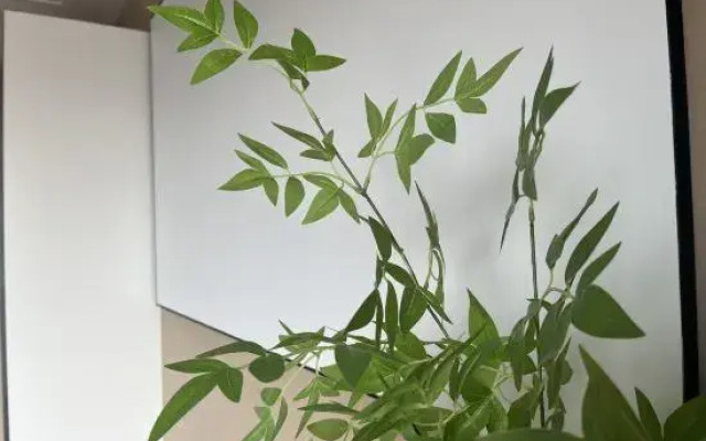 Picasso Apartment (Tianjin Nankai University)