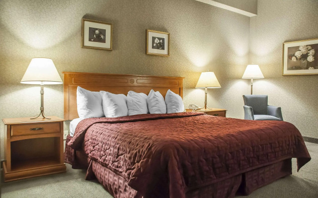 Comfort Inn Lundys Lane