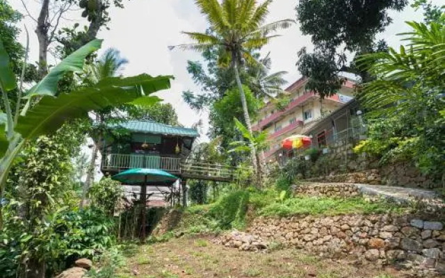 Carpe Diem Cottage