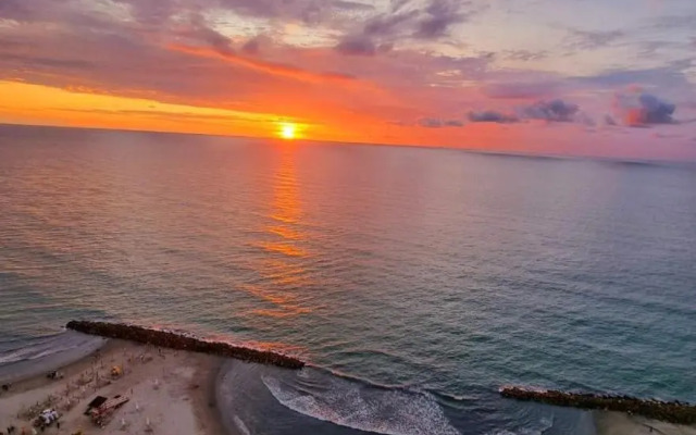 Apartamentos Palmetto - Frente al Mar - Bestbooking