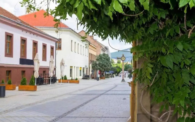 Luxusný 118m2 Apartmán s Krbom v Centre Nitry