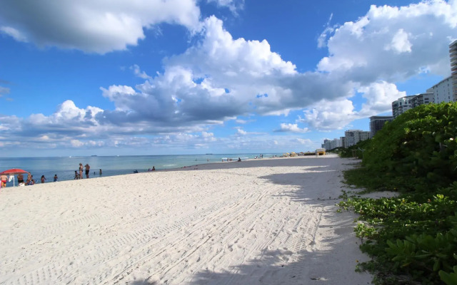 Beach Front Studio
