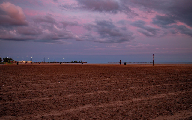 The Kingsville House