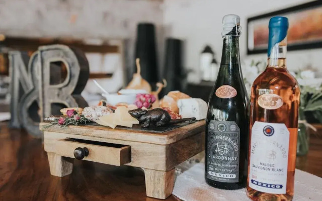 María & Bernardo Casa - Viñedo