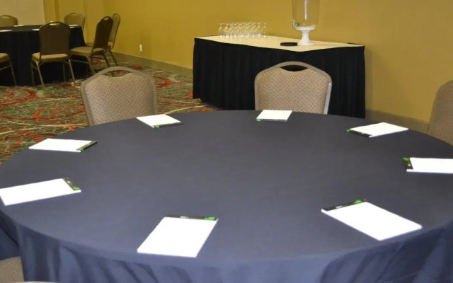 Holiday Inn Houston S - Nrg Area - Medical Center by IHG