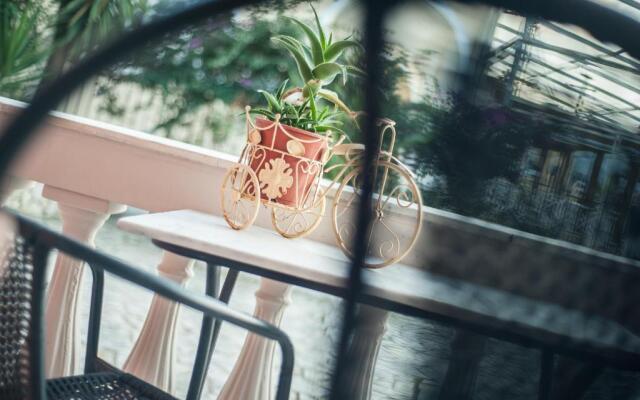 Zante Nest Studios & Apartments