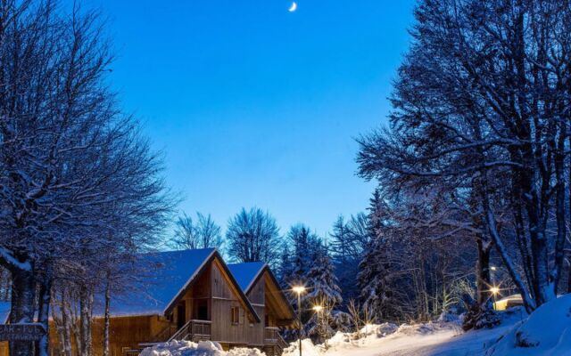 Les Chalets du Berger 32972