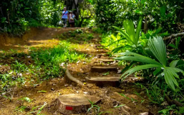 Osa Jungle Hostel