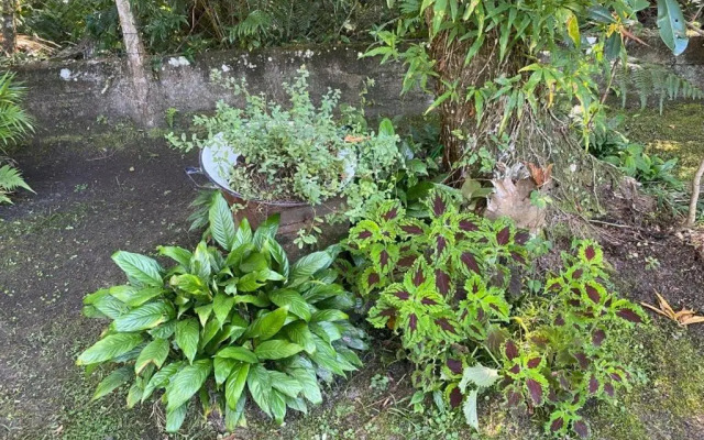 Casa Paraíso - Cond Costa do Sol- Bertioga