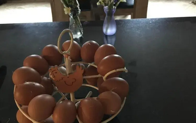 Arfryn House Bed and Breakfast