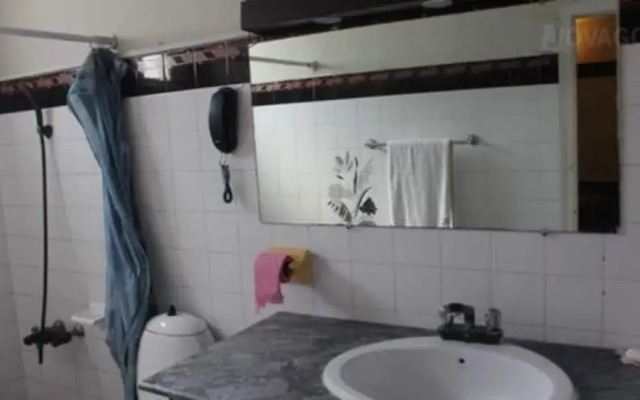 Shelton Green's Hotel