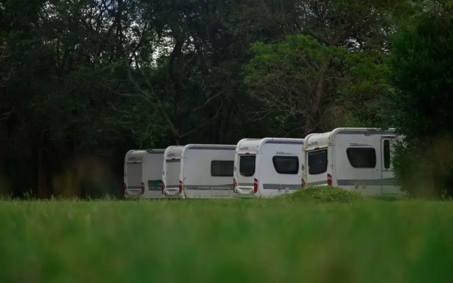 Big Game on Wheels - Wilpattu