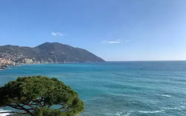 Villa Giulia