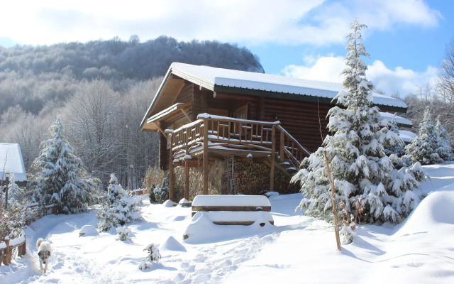 Sfendamos Wood Village