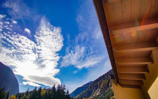 Apart Waldblick