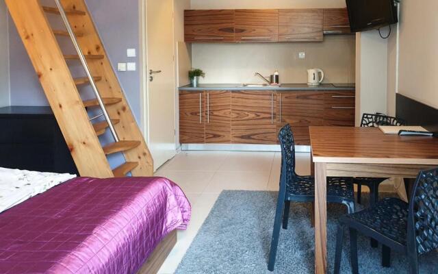 Apartamenty Brzozowa Centrum