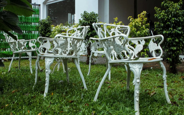 Tea Harvester Munnar