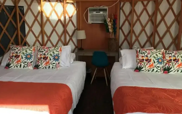 Camp Coyoacan