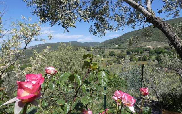 Scappo In Umbria, La Casa Di Giuliana