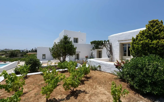 Villa Vinea Paros