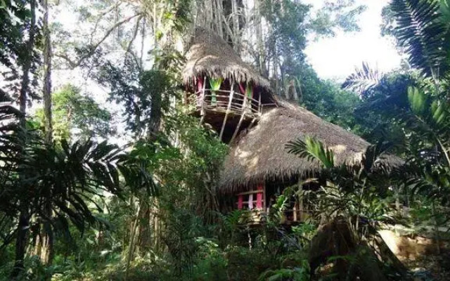 La Maison du Banian