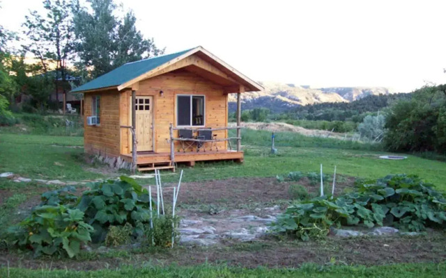 Buffalo Bungalow