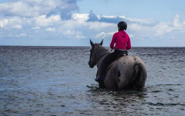 Coastal Apartment With Balcony