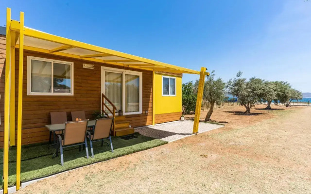 Olive Grove Villa by the Beach
