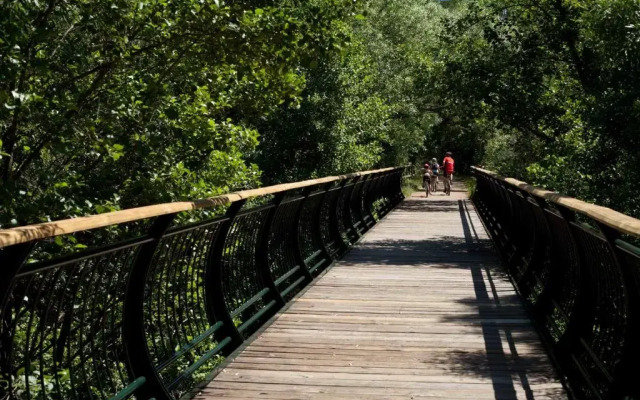 El Rincón de San Benito