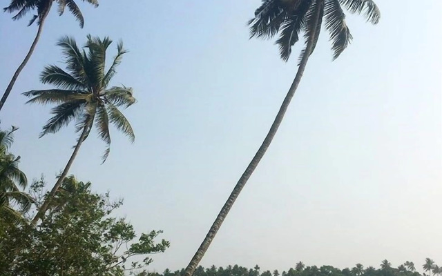 Cranganor History Cafe Riverside Chateau