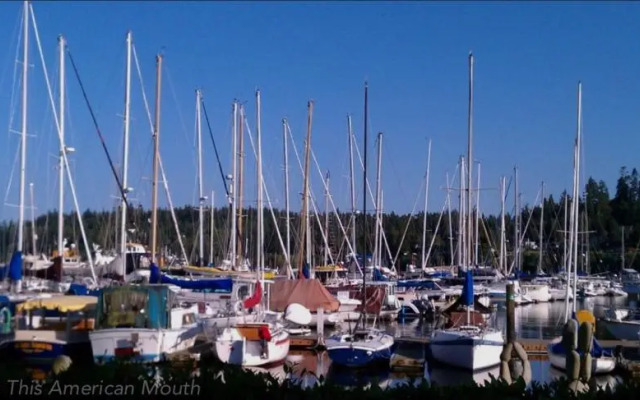 Seattle Urban Village