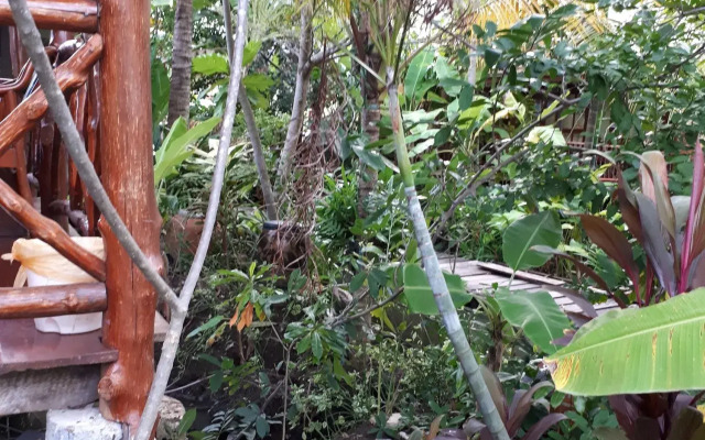Sansuk Resort