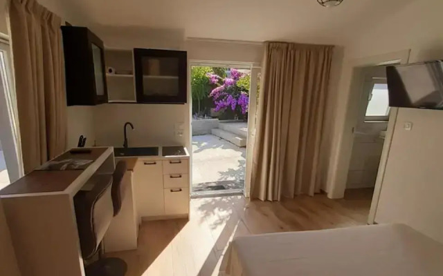 little olive tree house