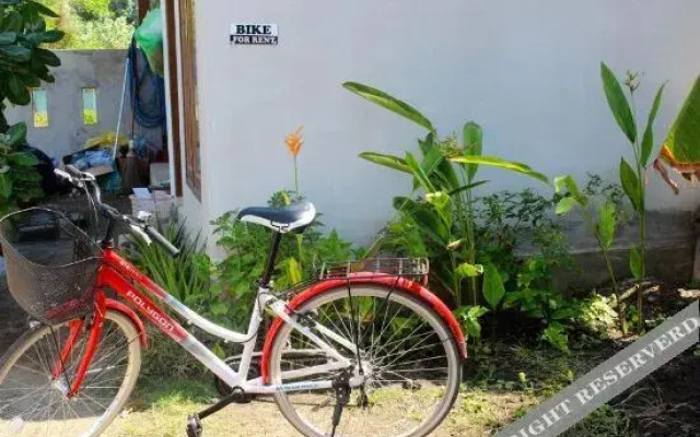 Rumah Dole