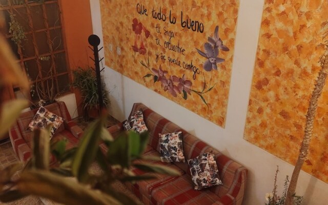 Eco Bunnu Inn