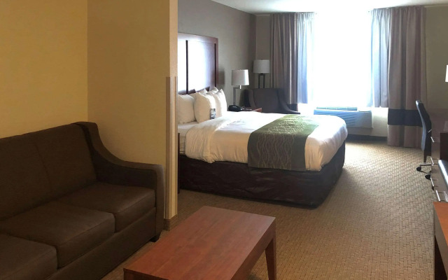 Comfort Inn And Suites Custer