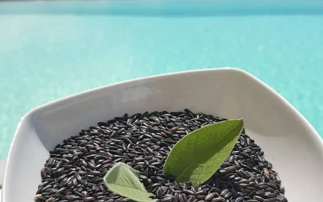 AHG Relais Agriturismo Pansera