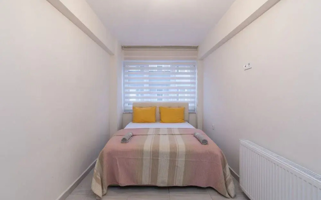 Axis Homes Suit
