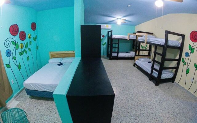 Royal Honey Hostel