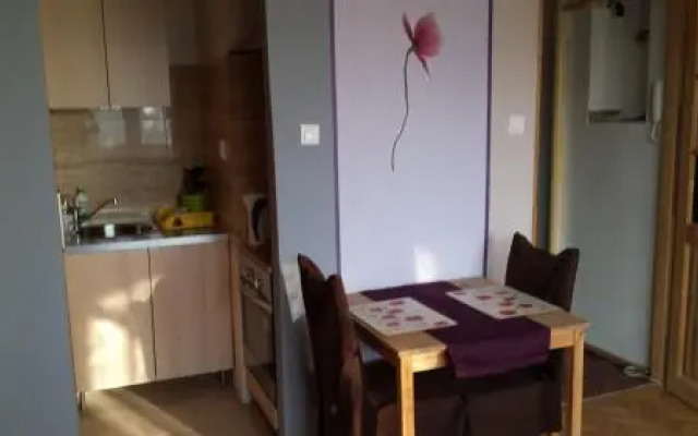 StudioSpanie Studio Orange