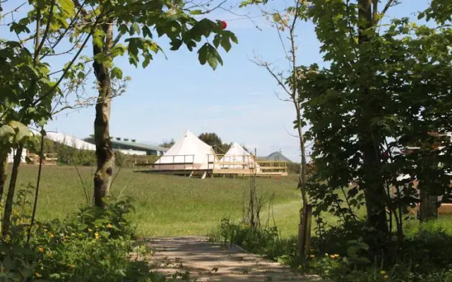 Koa Tree Camp