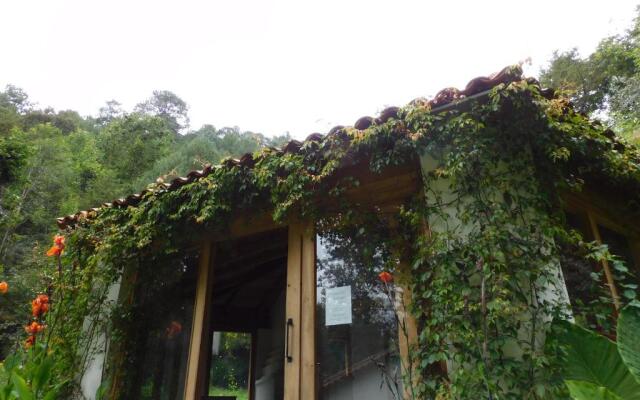 San Nicolás Rotamundos