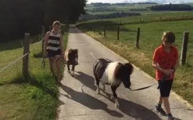 Cabane dans les arbres / Swin-golf de Cremin