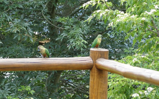 TOCA DA TARTARUGA Ecovillage Ilhabela