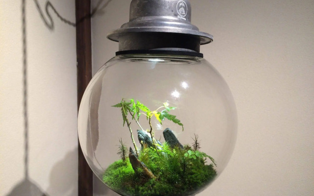 Your Pavilion near Kinkakuji