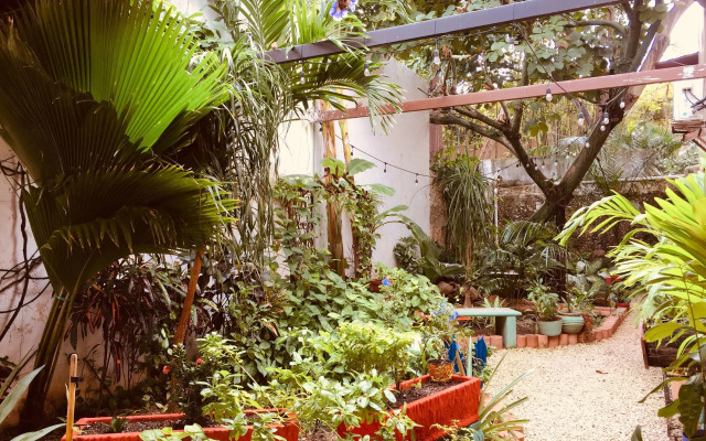 Hotel Casa Pellegrin