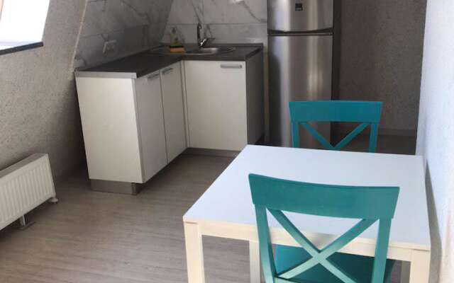 Apartment Zolotoy Bereg