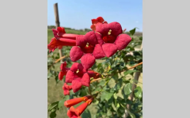 séjour insolite et écologique dans une Tiny house