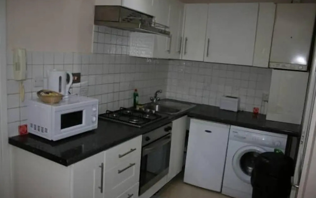 Marble Arch Flat